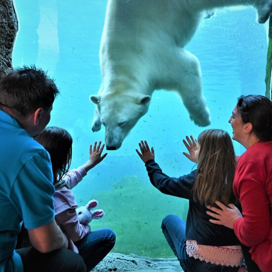 ZOO AM MEER BREMERHAVEN (Vorschaubild)